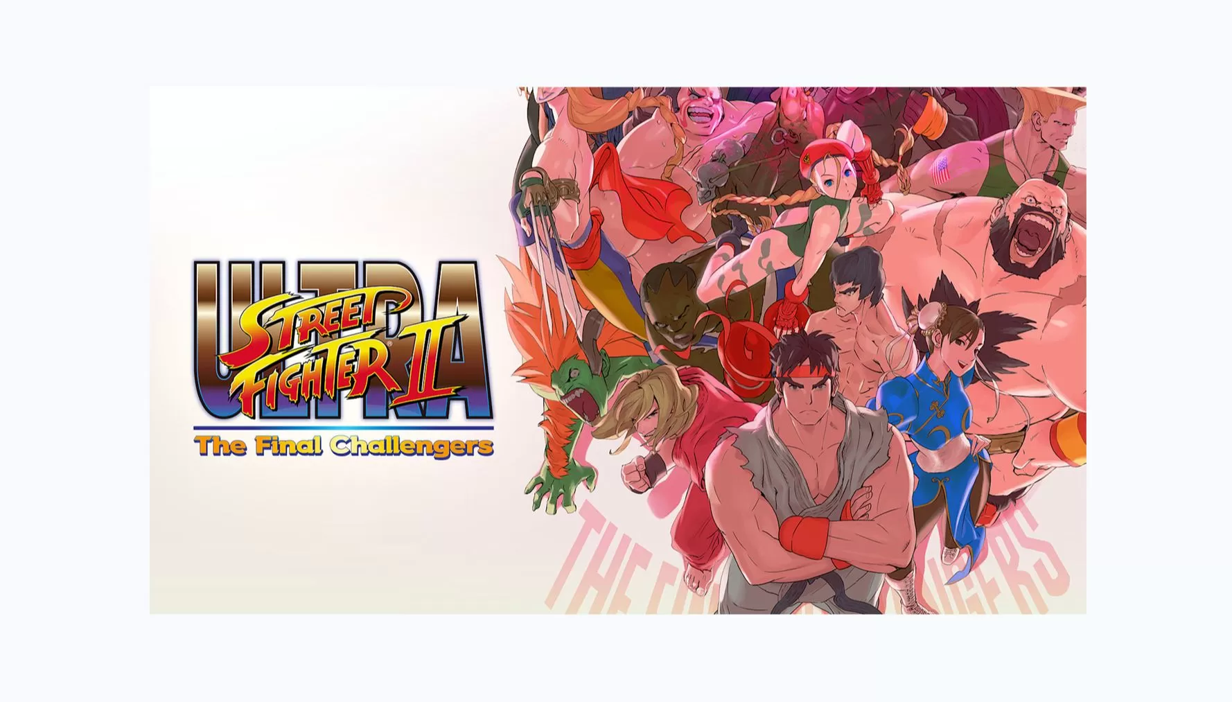 switch《终极街霸霸王2最后的挑战者》[NSP]日版中文本体+1.1.1升补