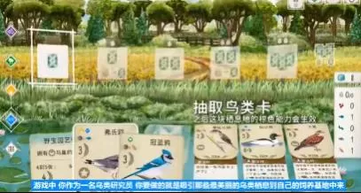 switch《展翅翱翔(Wingspan)》[NSZ]美版中文+1.6.567补丁+4DLC_3
