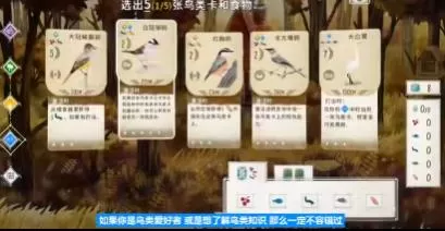 switch《展翅翱翔(Wingspan)》[NSZ]美版中文+1.6.567补丁+4DLC_2