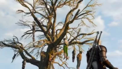 switch《巫师3狂猎(The Witcher3Wild Hunt)》[NSZ]美版中文+4.04b补丁+4DLC_2