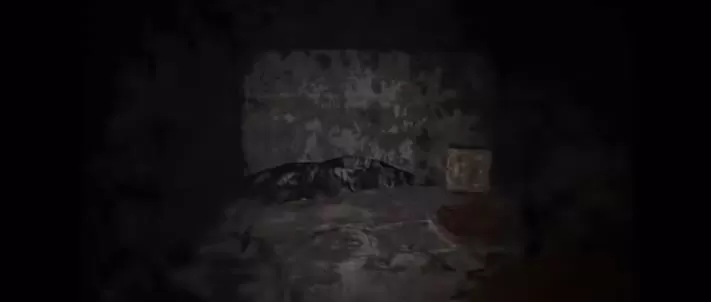 PC《笼子(KLETKA)》官方中文版_5