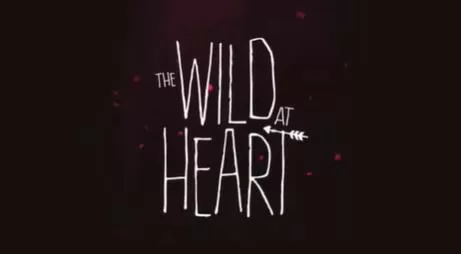 switch《狂野之心(The Wild at Heart)》美版中文+1.1.9补丁