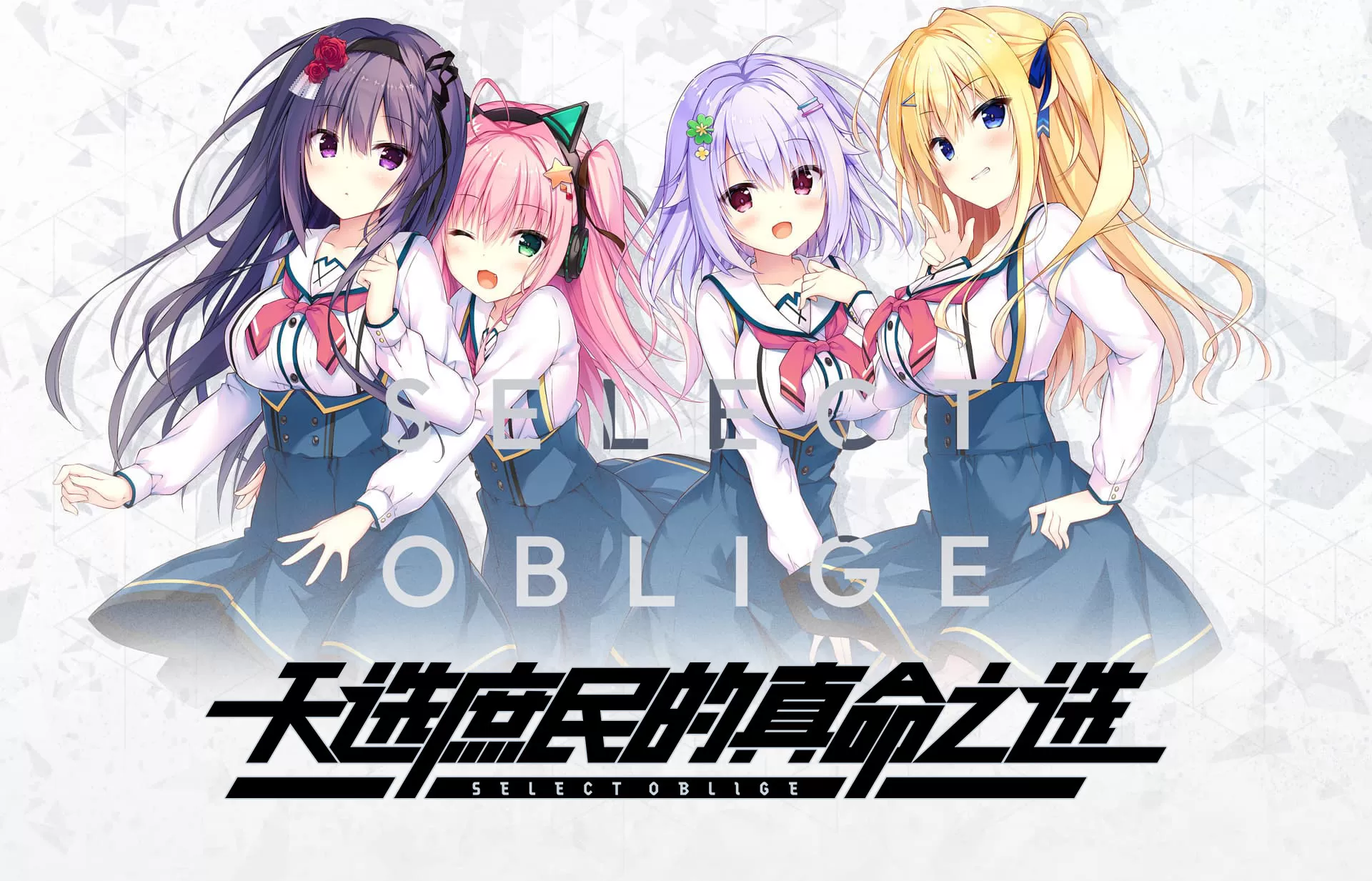 switch《天选庶民的真命之选》[NSP]官方中文版下载