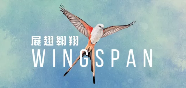 switch《展翅翱翔(Wingspan)》[NSZ]美版中文+1.6.577补丁+4DLC_0
