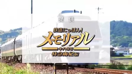 switch《铁路日本!纪念JR东海キハ(KiHa)85特急南纪篇》[XCI]日版v1.0.2