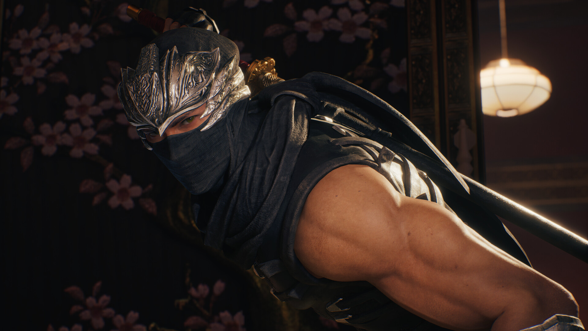 PC《忍者龙剑传2：黑之章》v1.0.0最新免安装简体中文绿色版下载_0