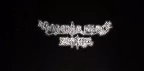 switch《漂流佣兵(Wander Hero)》[NSZ]美版中文