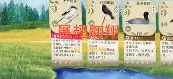 switch《展翅翱翔(Wingspan)》[NSZ]美版中文+1.6.583补丁+5DLC
