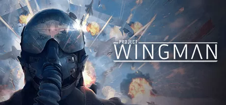 PC《僚机计划(Project Wingman)》v2.1.1下载