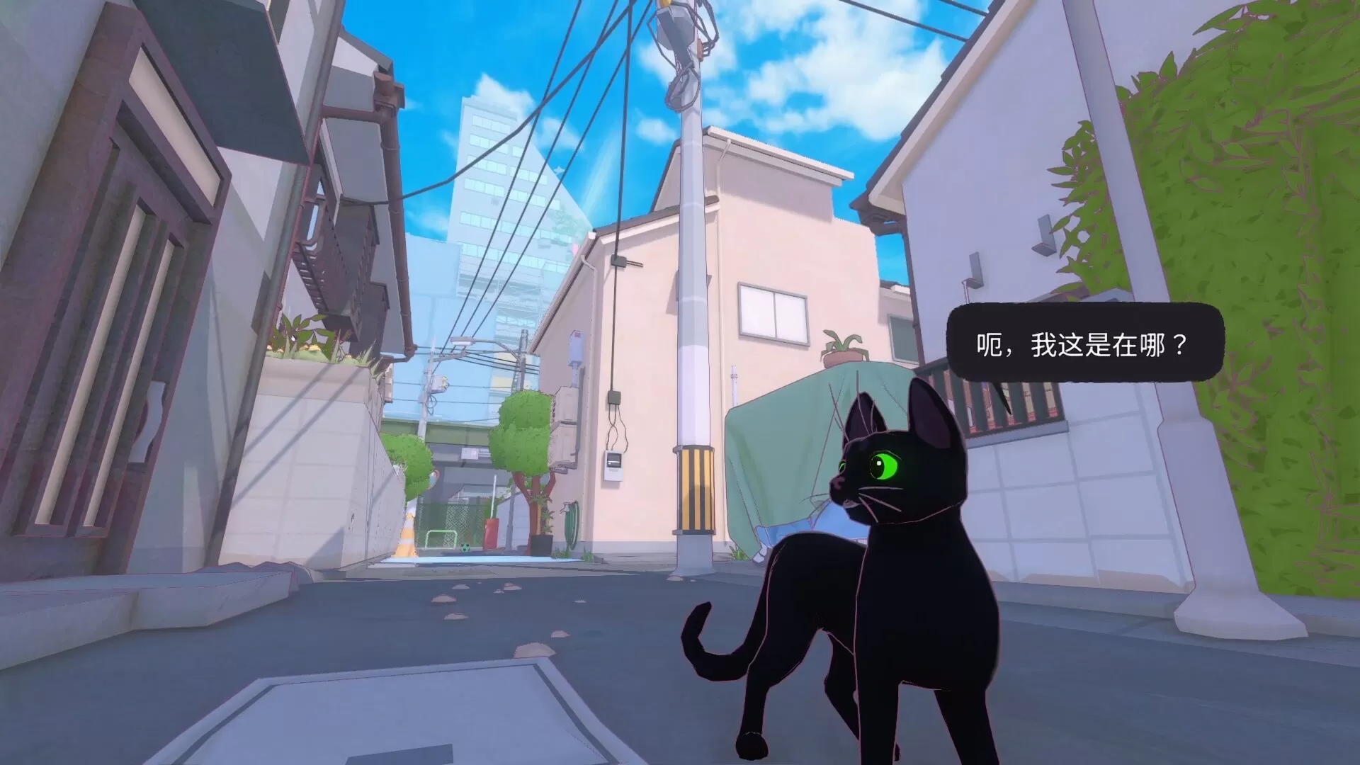 PC《小猫咪大城市(Little Kitty, Big City)》中文版下载v1.25.8.27.5409