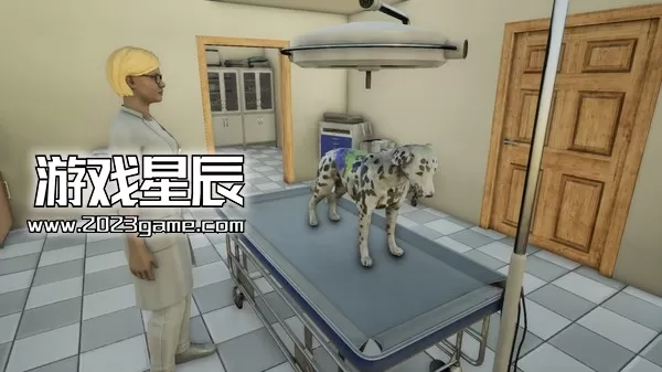 Switch《兽医 Animal Doctor》英文版NSZ下载_2