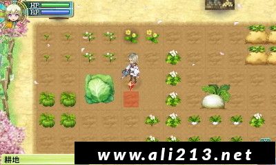 [3DS] 《符文工房4(Rune Factory 4)》中文版CIA下载_3