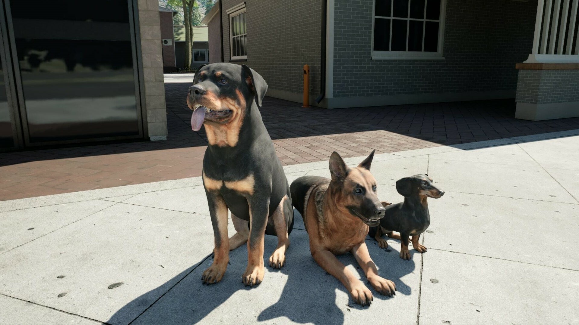 PC《牧场模拟器(Ranch Simulator)》中文版下载v1.173s_5