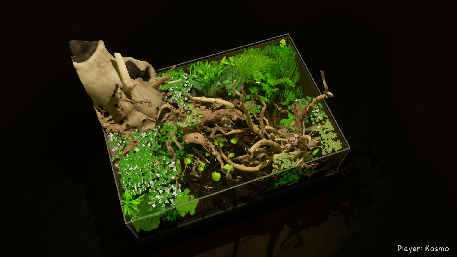 PC《养鱼模拟器(Fish Game)》英文版下载v20250915_3