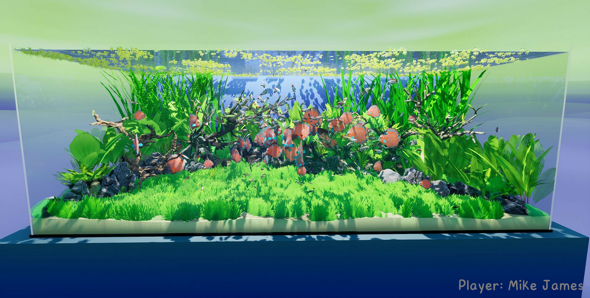 PC《养鱼模拟器(Fish Game)》英文版下载v20250915_4