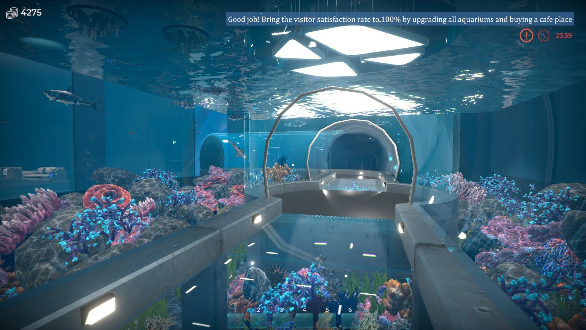 PC《Aquarist - 建造水族馆，养鱼，发展你的事业！》中文版下载v20250915_1