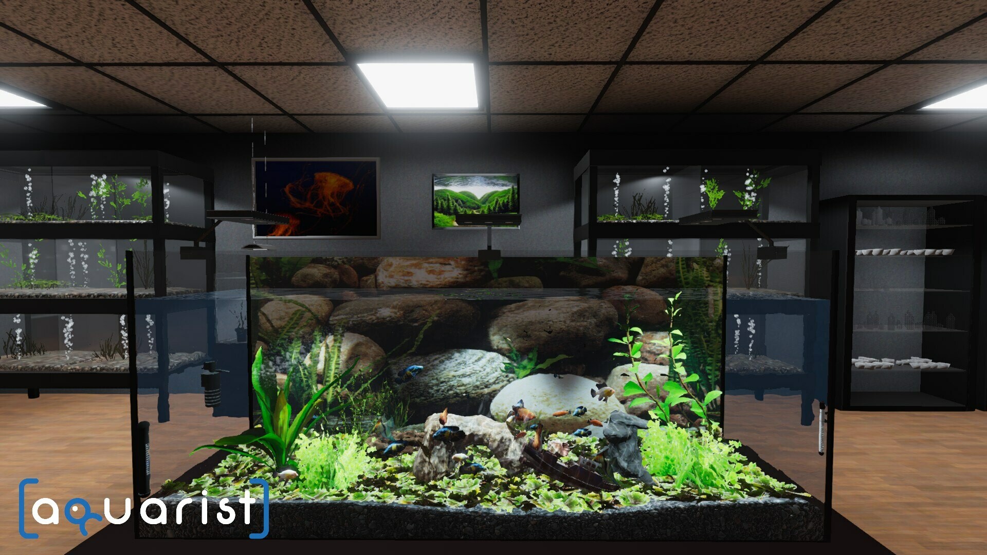 PC《Aquarist - 建造水族馆，养鱼，发展你的事业！》中文版下载v20250915_0