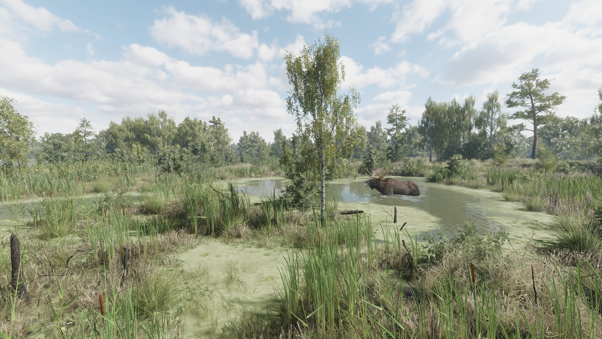 PC《猎捕行动(On the Hunt)》中文版下载Build.20557498_3