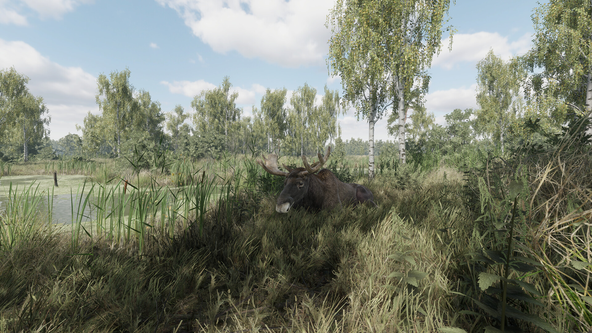 PC《猎捕行动(On the Hunt)》中文版下载Build.20557498_2