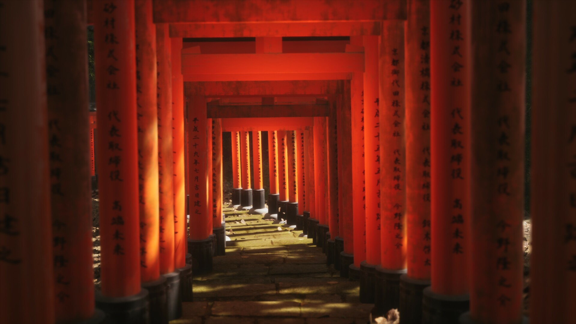 PC《模拟美景摄影(Lushfoil Photography Sim)》中文版下载v20250711_1