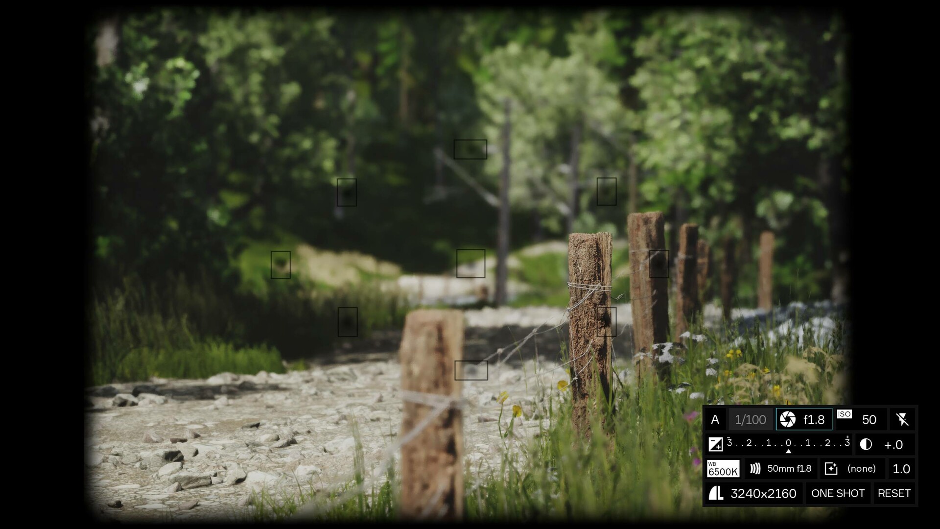 PC《模拟美景摄影(Lushfoil Photography Sim)》中文版下载v20250711_3