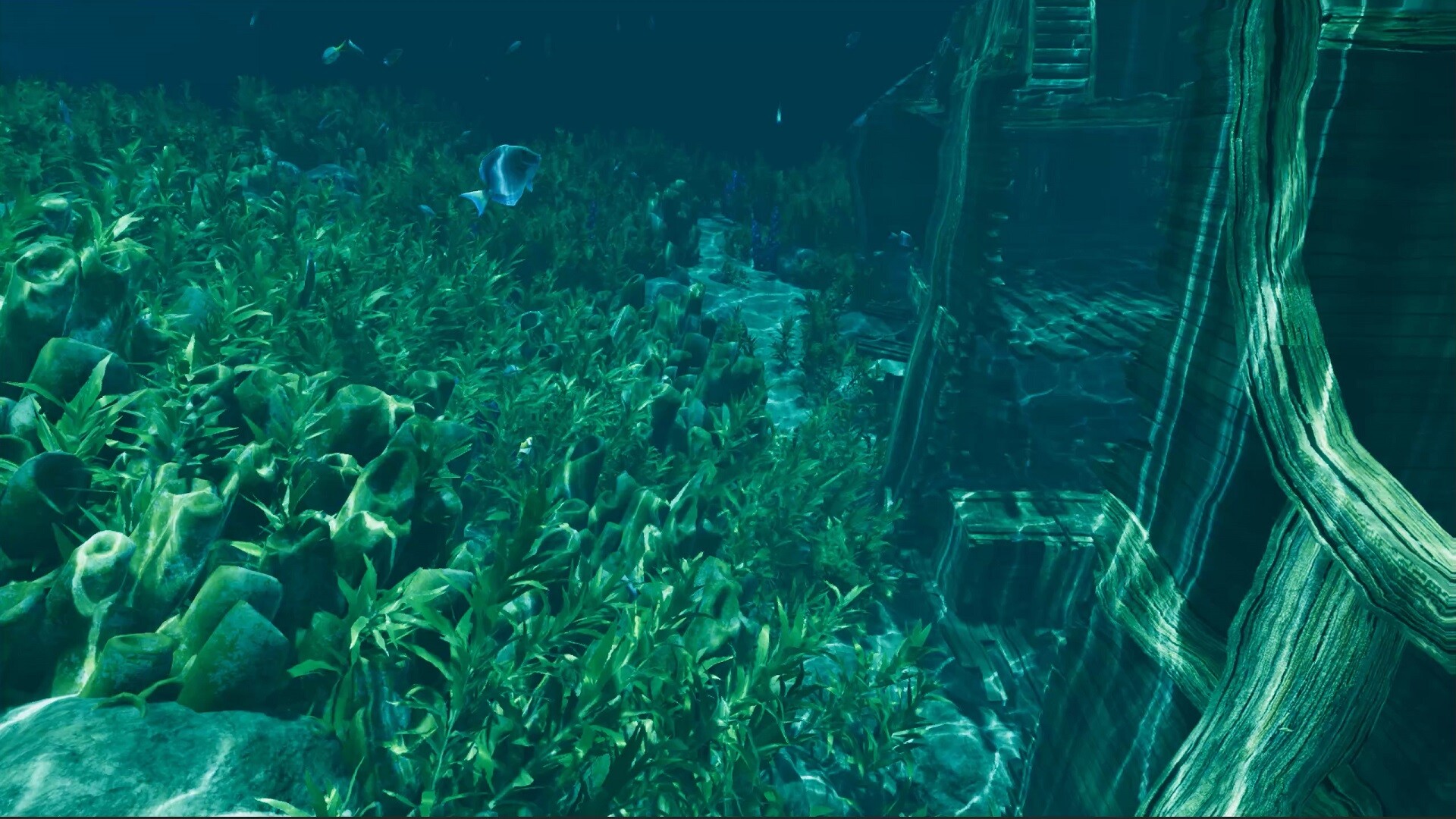 PC《孤岛笔记(Island Notes)》中文版下载Build.19715327_4