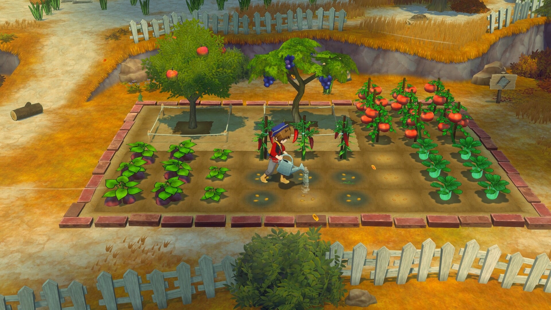 PC《牧场物语 来吧!风之繁华集市(STORY OF SEASONS: Grand Bazaar)》中文版下载Build.19408688_0