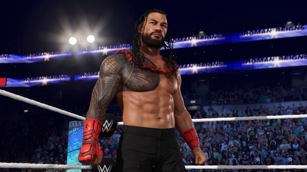 PC《WWE 2K25 血亲家族版》英文版下载Build.20411003-无畏出击-铁血荣耀+预购特典+全DLC_0