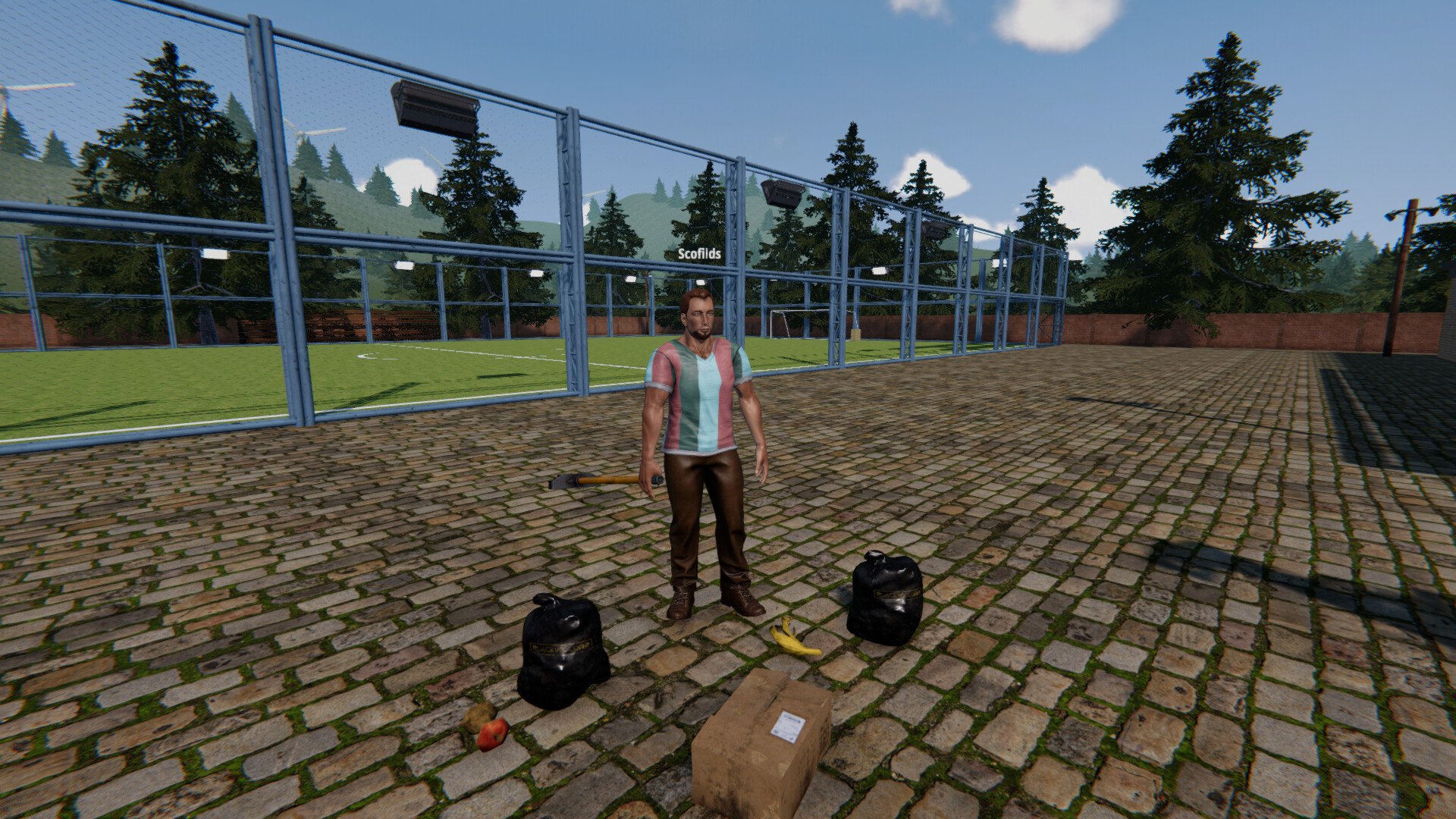 PC《足球场模拟器(Football Pitch Simulator)》中文版下载Build.20362264_1