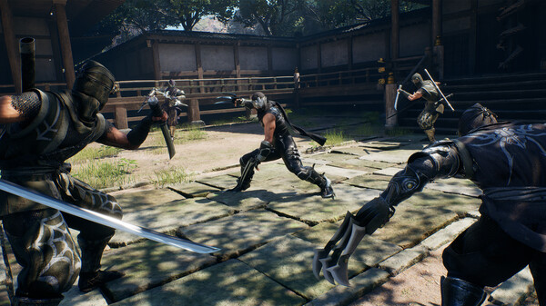 忍者龙剑传2 黑 豪华中文预购特典+DLC_2