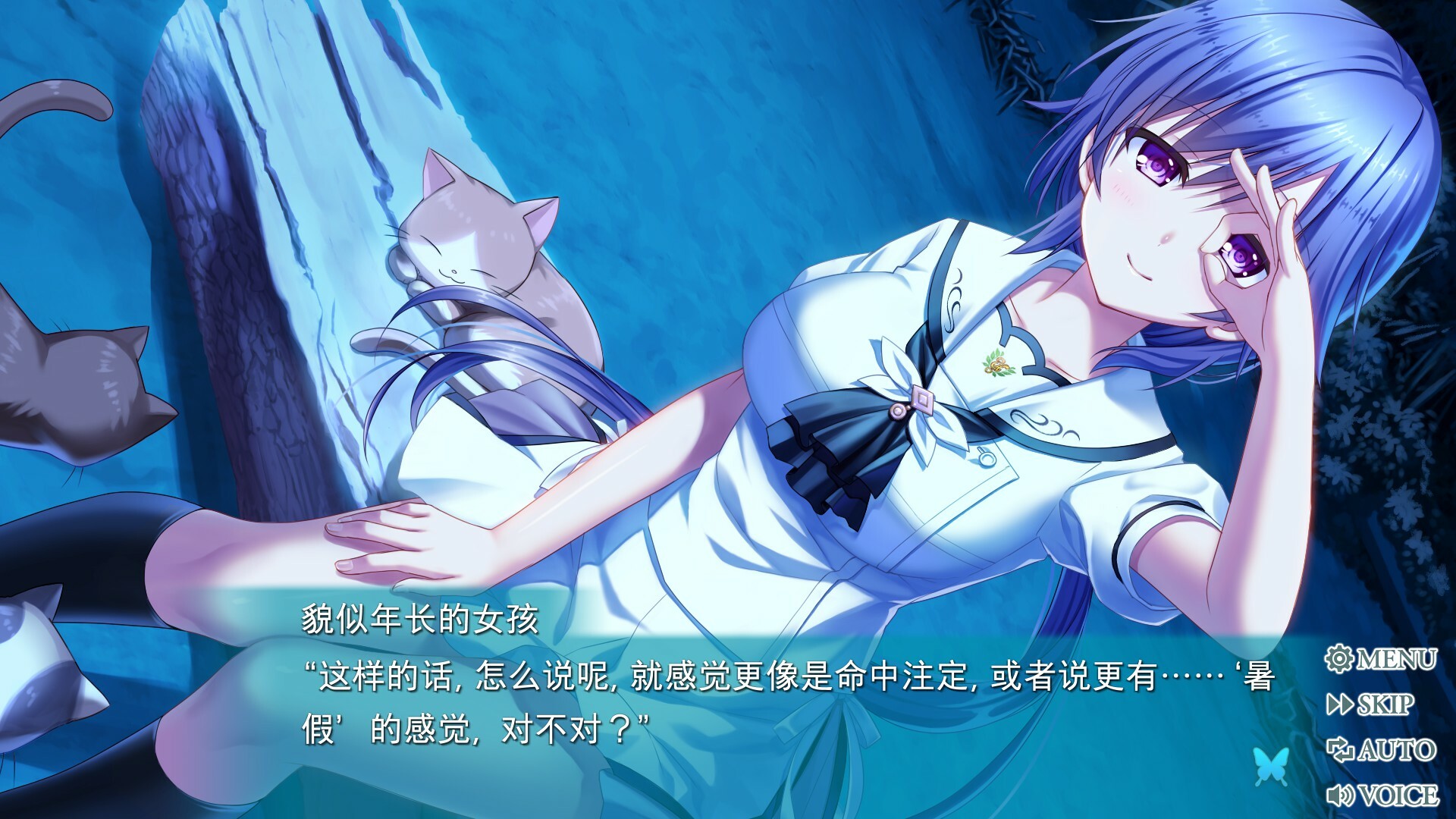 PC《夏日口袋：流光蓝(Summer Pockets REFLECTION BLUE)》中文版下载v1.3.2.1_5