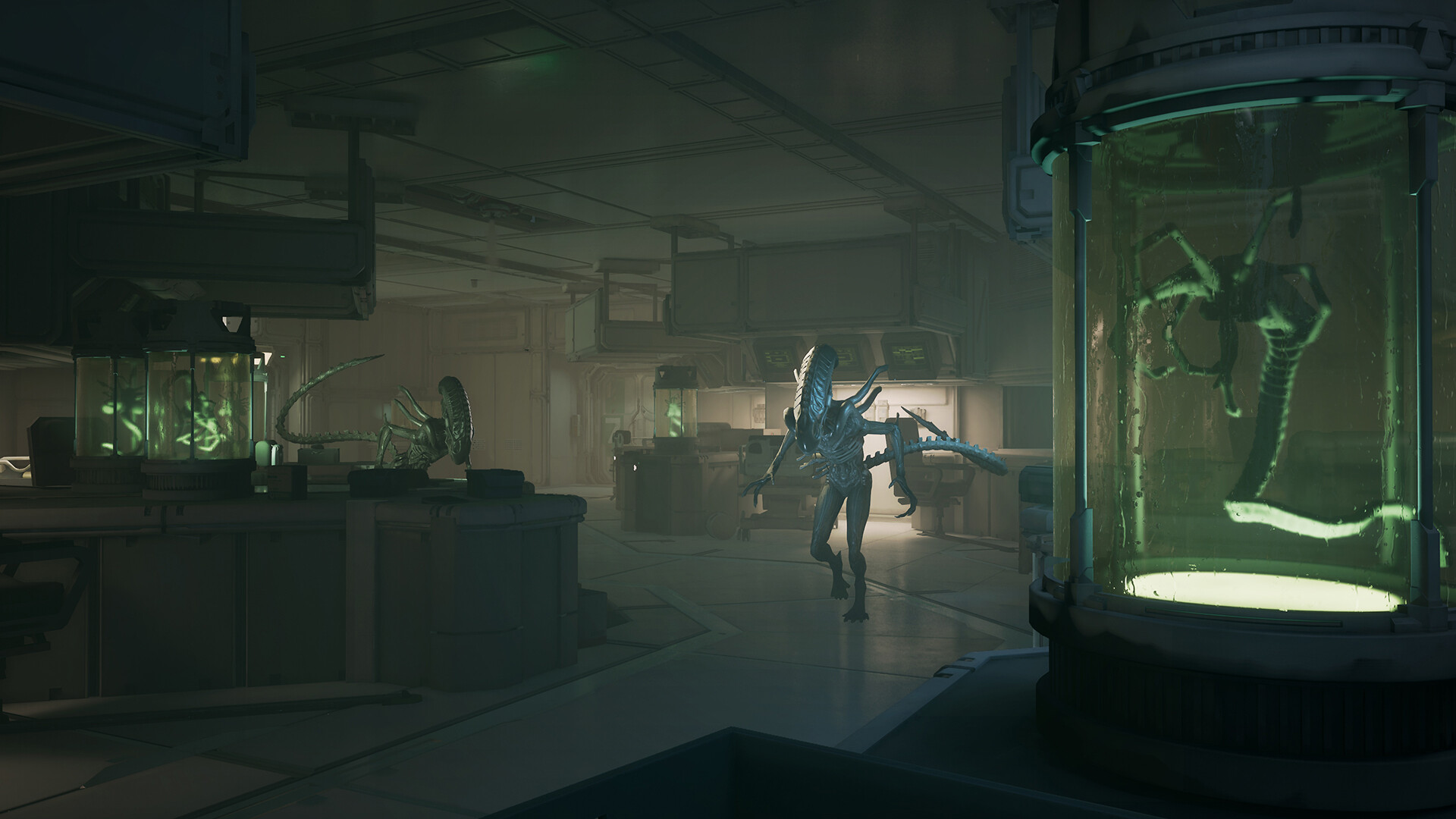 PC《异形 盗贼入侵进化》豪华中文版下载Build.20292220+全DLC+预购奖励_4