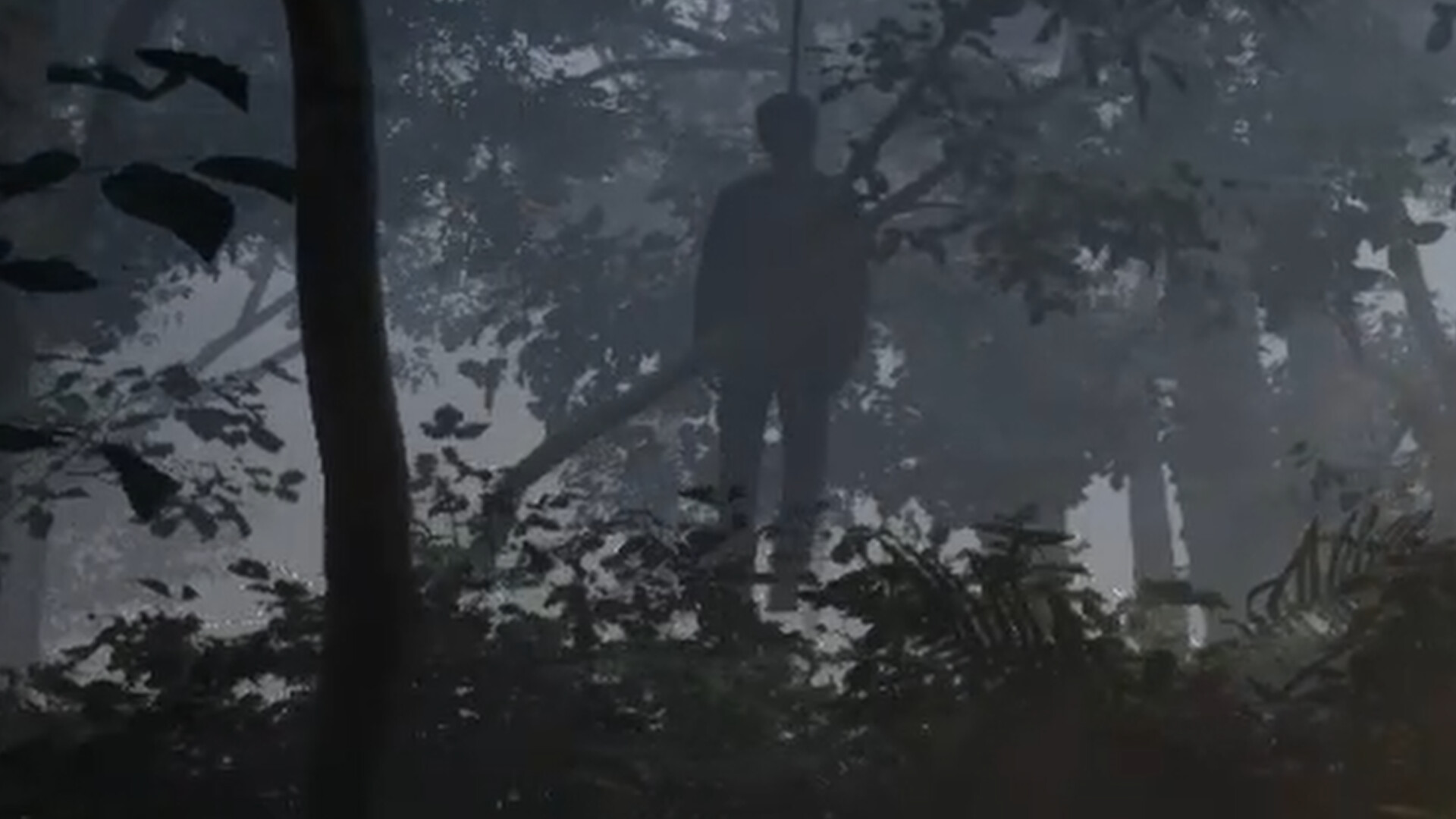 PC《雾锁温泉(Misty Onsen)》中文版下载Build.20513064_1