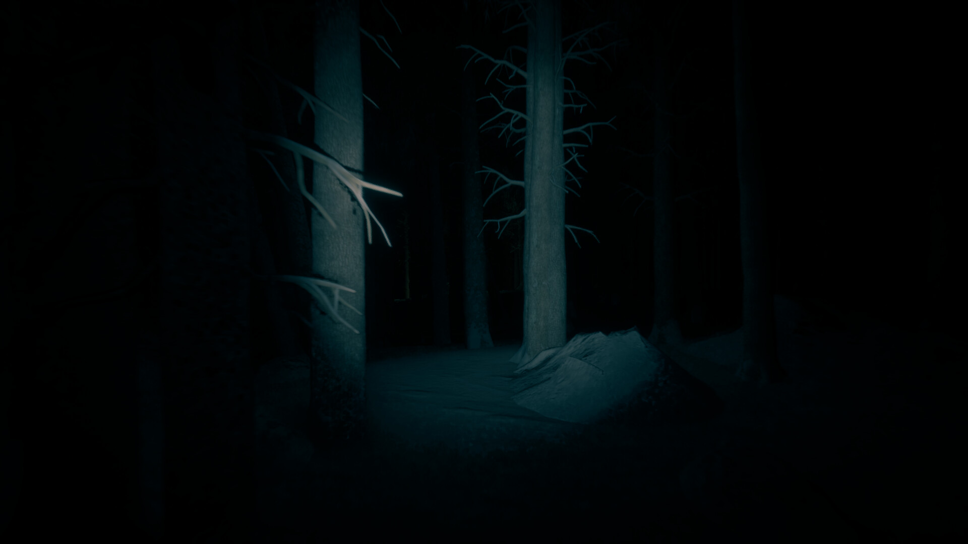 PC《最后的滑雪之旅(The Last Ski Trip)》中文版下载v3.0_1