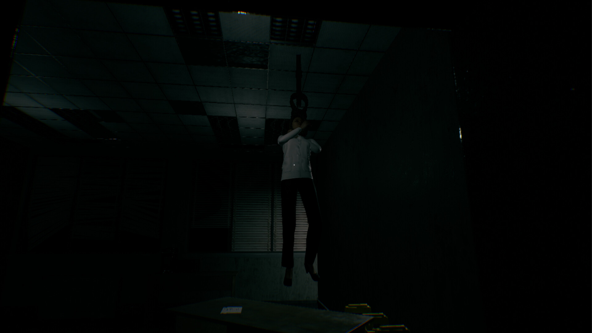 PC《艾琳:汤姆的故事(Aylin The Story of Tom)》中文版下载Build 19443829_3